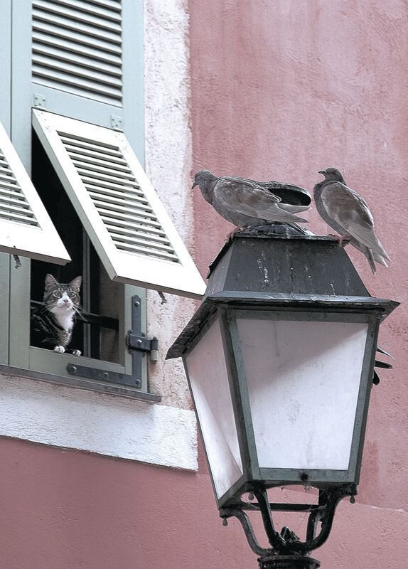 史上最激烈“冠军夜”：激情燃烧到最后一秒