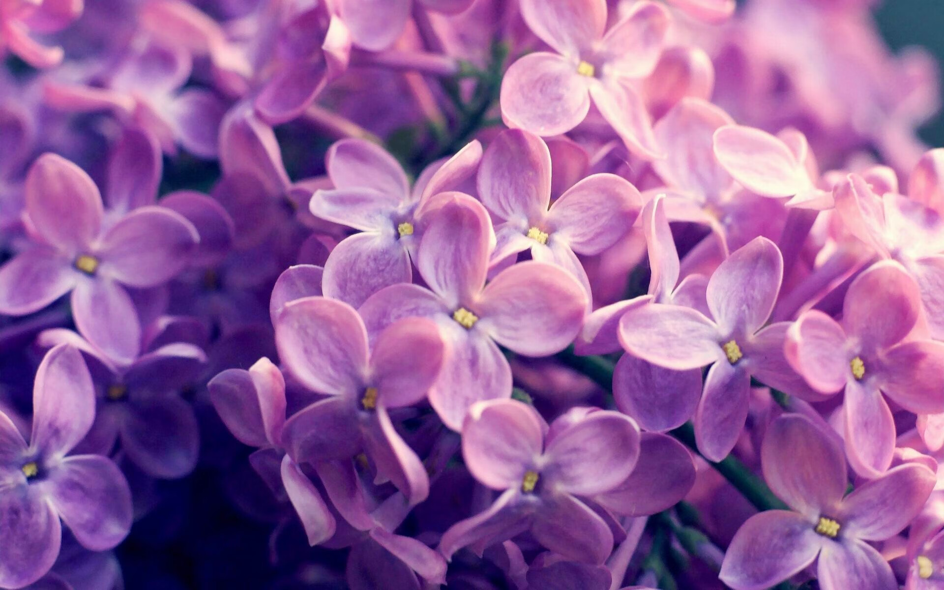 爱游戏下载-“球场趣味：明星场外趣事和奇闻趣事”